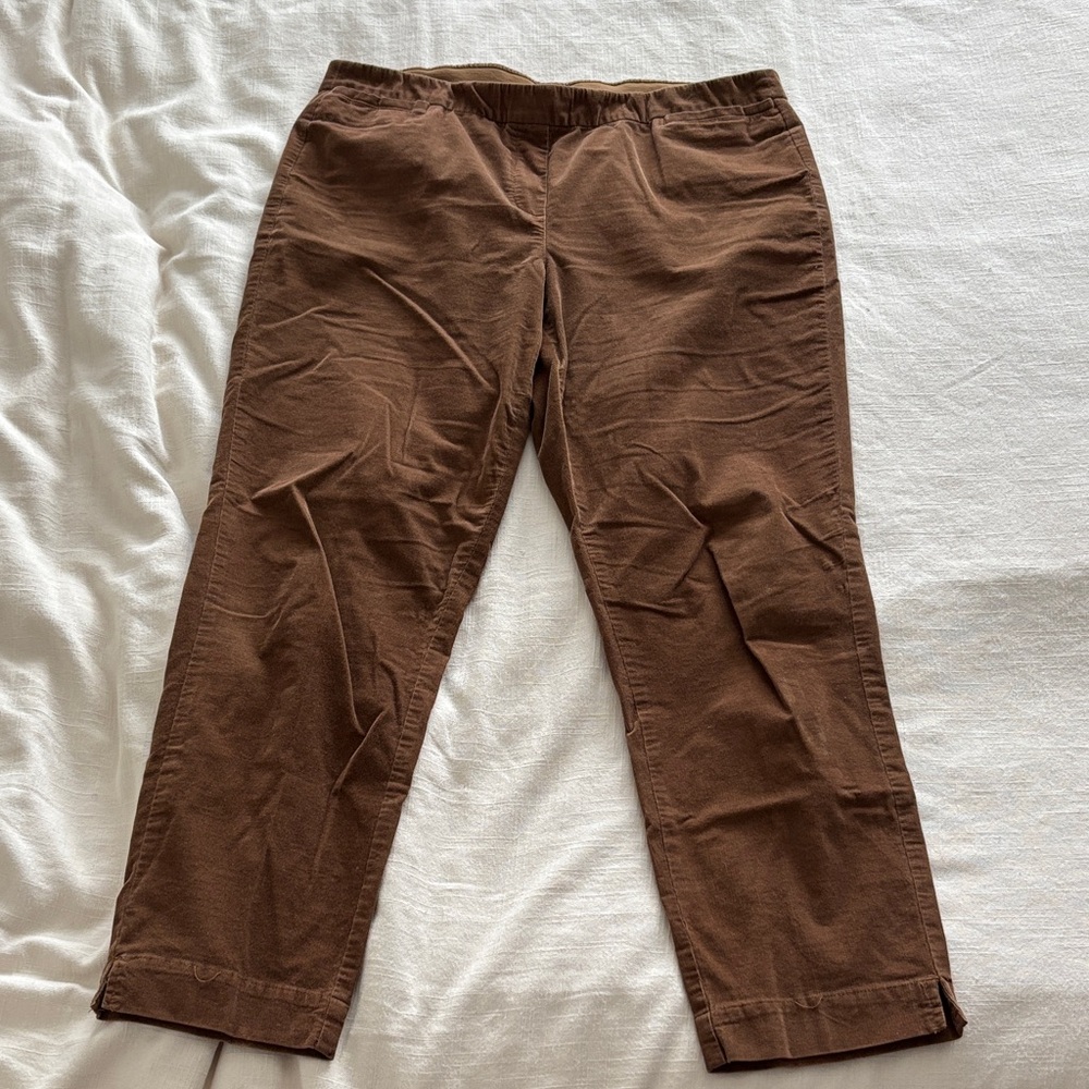 J. Jill Men's Tan Chinos